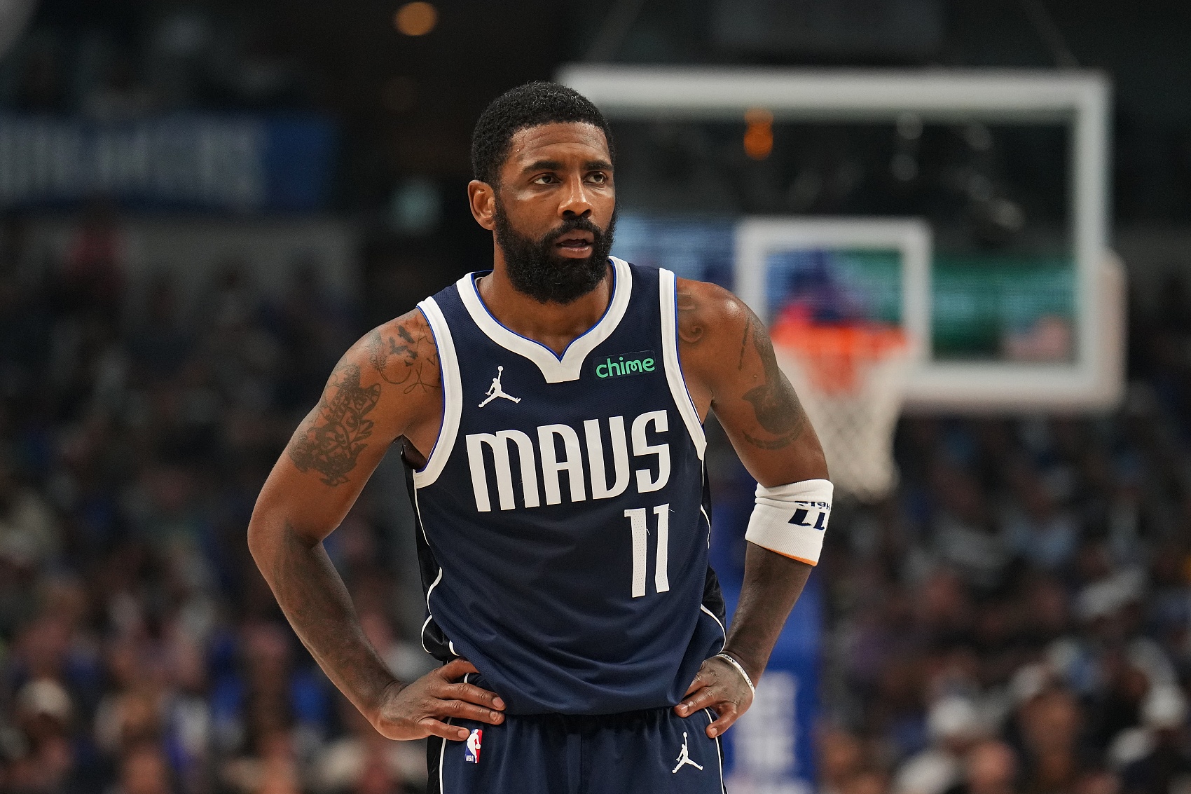 媒体的热烈 媒体的热烈