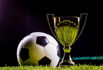 这一优势仿 这一优势仿