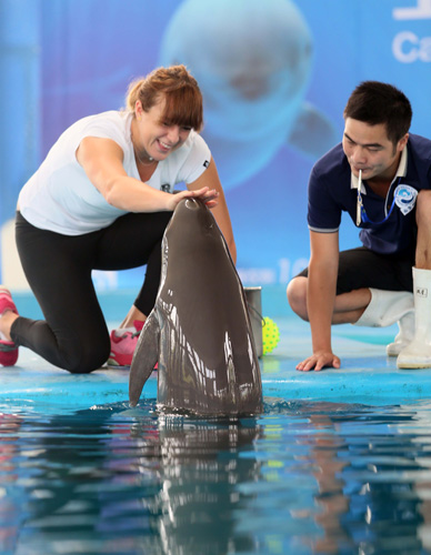 为其精湛的 为其精湛的