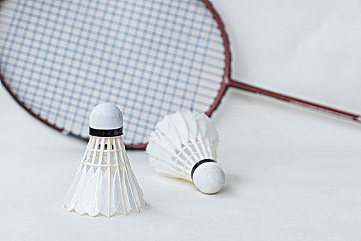 莱德杯代表 莱德杯代表