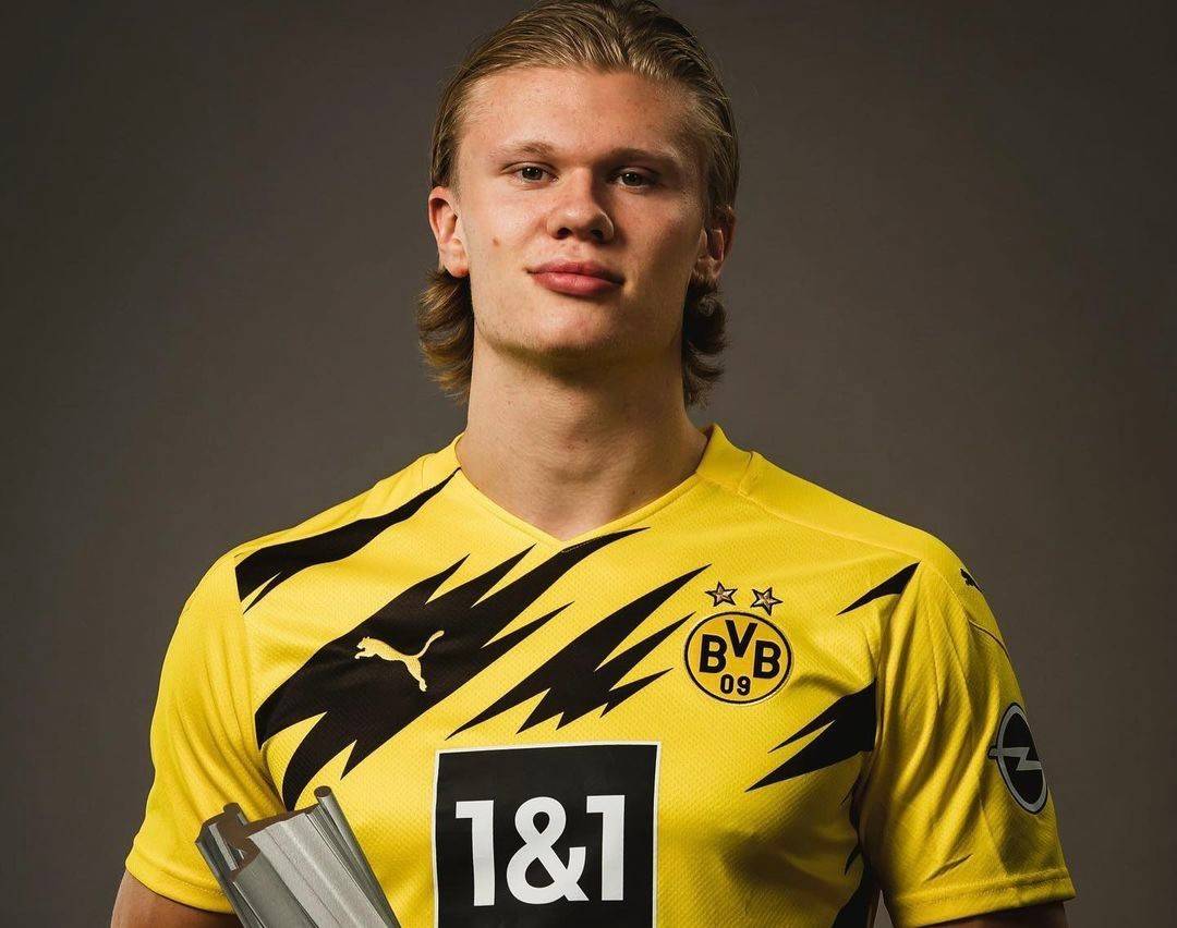 雄鹿引进霍 雄鹿引进霍